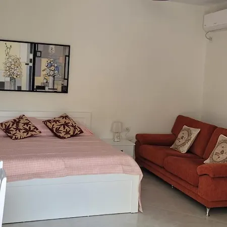 - Orchidea * Sarandë